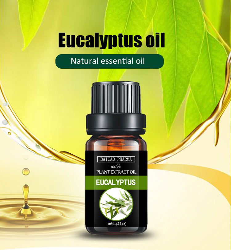 Wholesale Eucalyptus Aromatic Essential Oil Eucalyptol 70% 80% 99% Distilled