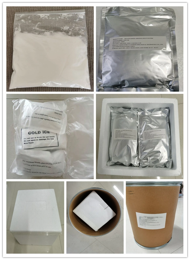 Antibacterial Agent Pyrazinamide CAS 98-96-4 Aldinamid with Best Price