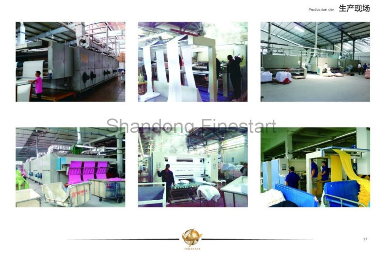 Steam Textile Finishing Machine Heat Setting Stenter for All Fabric
