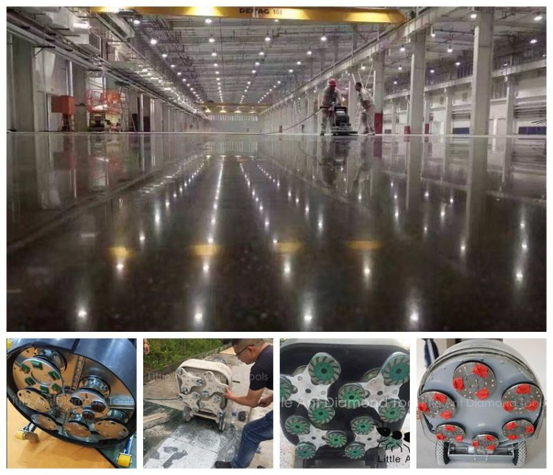 Premium Concrete Floor Metal Bond Diamond Grinding Shoes Grinding Plates