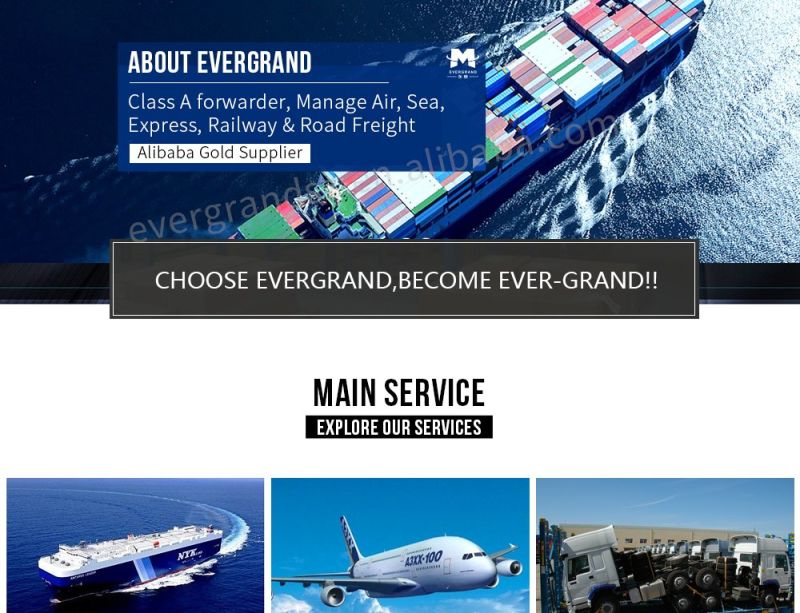 Sea Shipping Service From China to Australia/Adelaide/Melbourne/Brisbane/Sydney/Fremantle