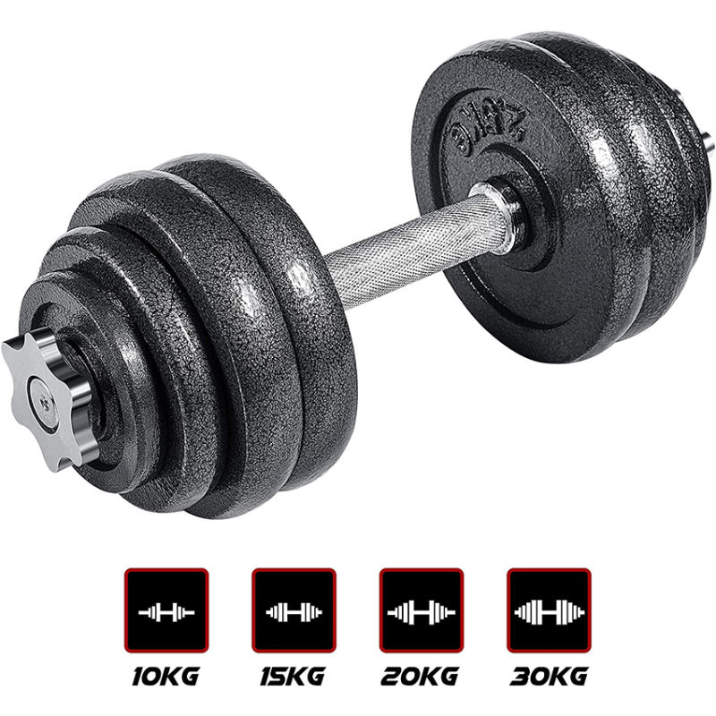 Gym Workout Strength Weight Training 20kg 30kg Paint Dumbbell