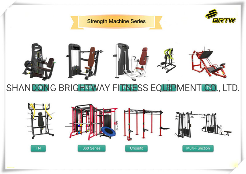 Flat-Oval Tube Flat Olympic Bench for Commercial Gym Center Use