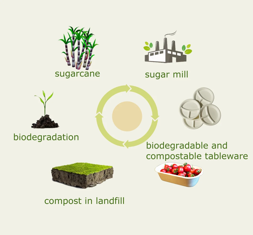 Biodegradable Plates and Bowls Biodegradable Paper Plates Eco Friendly Bagasse Plates Biodegradable Party Plates