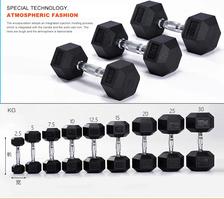 Custom Gym Equipment Rubber Coated Weight Lifting Dumbbell