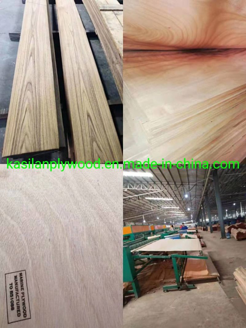 Film Faced Marine/ Commercial Plywood Commercial Plywood for Furniture