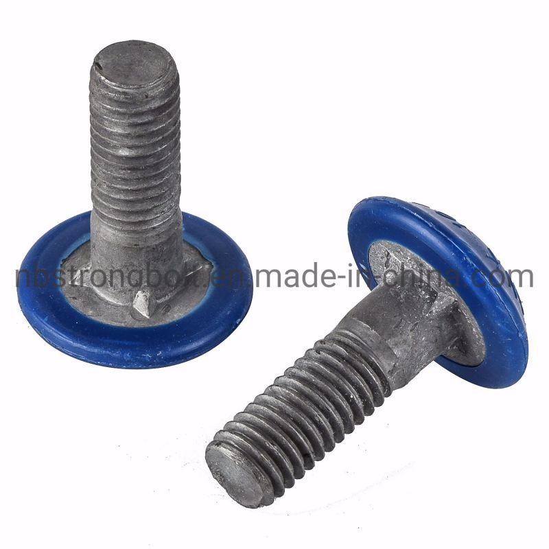 Plastic Coated Screw Carriage Bolt with Zinc Plated