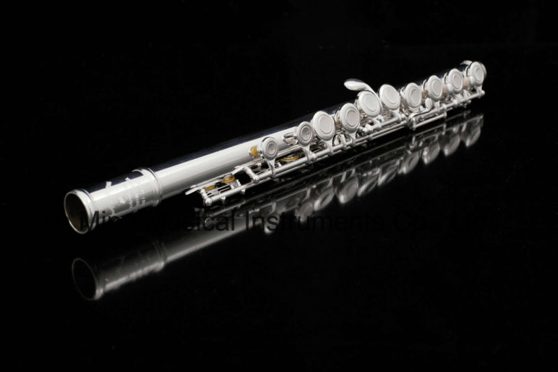 Good Student Flute Cupronickel Manufacturer Cheap