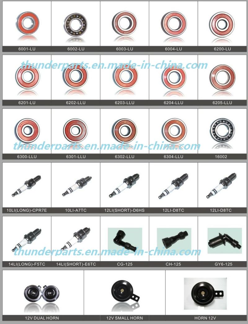 Motorcycle Engine Spare Parts for Wave100 (50mm) /Wave110 (52.4mm) /Haojue100 (50mm)