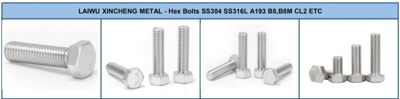 Stainless Steel DIN934 B8 B8m 304 316 Hexagon Nuts, High Quality Hexagon Nuts