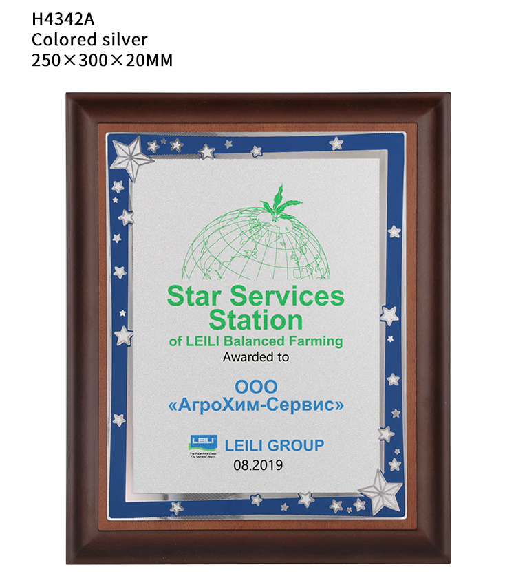 Star Models Can Be Customized Design Award Wood Plaques