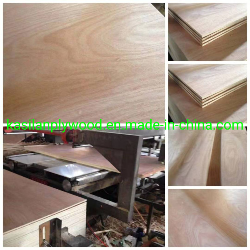 Film Faced Marine/ Commercial Plywood Commercial Plywood for Furniture