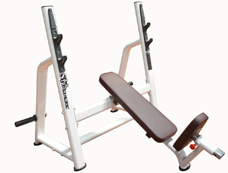 Fitness Equipment / Gym Equipment /Olympic Incline Bench