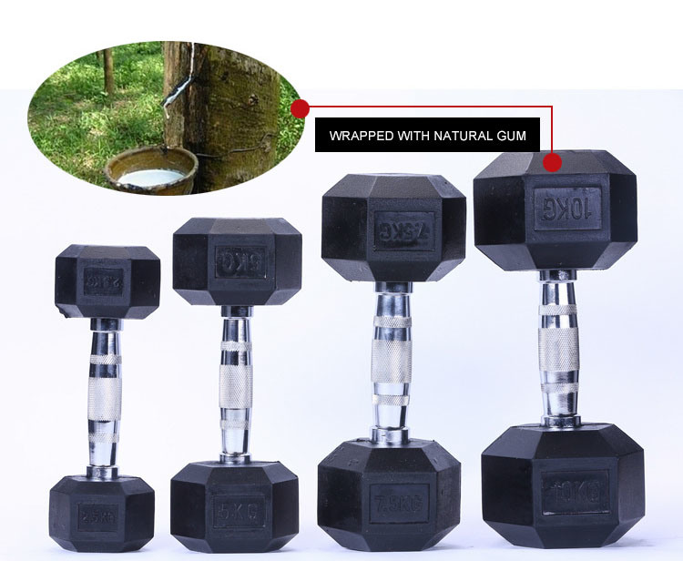 2021 Suppliers Free Weights Commercial Weight Round 5kg 10kg 30kg Dumbbell