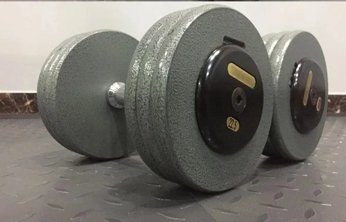 Wholesale Baking Paint Cast Iron Round Dumbbell for Gym Equipment