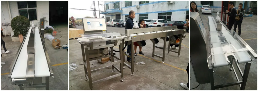 Cheap Online Automatic Weight Sorting Machine/Automatic Conveyor Weight Checker