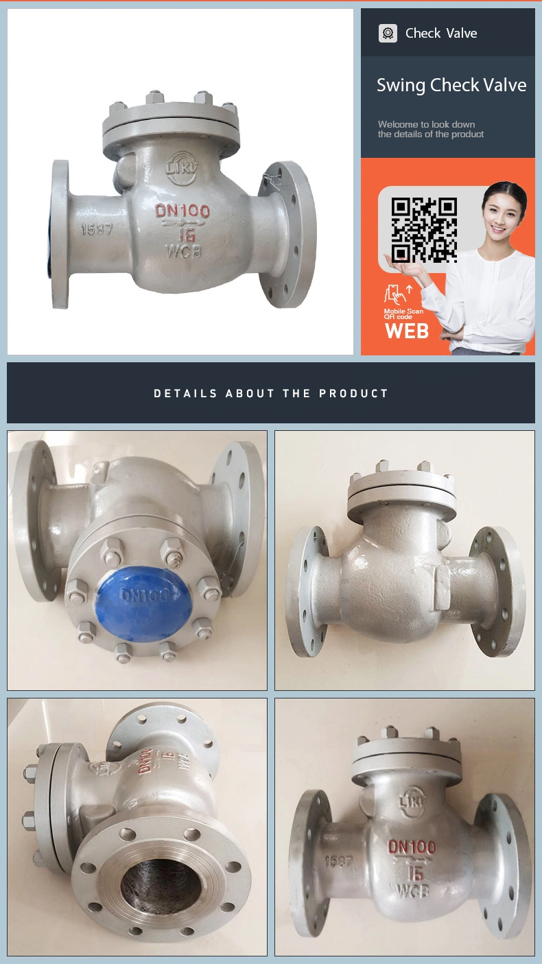 Non Reture Cast Iron DN80 Pn16 Gg25 Swing Type Counter Weight Water Industry Check Valve