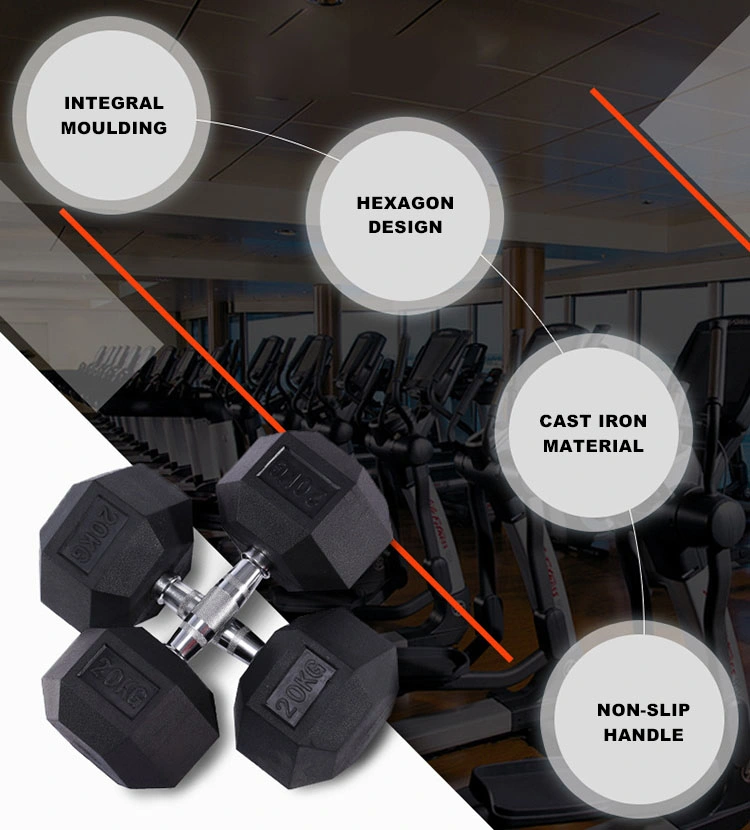 Custom Gym Equipment Rubber Coated Weight Lifting Dumbbell