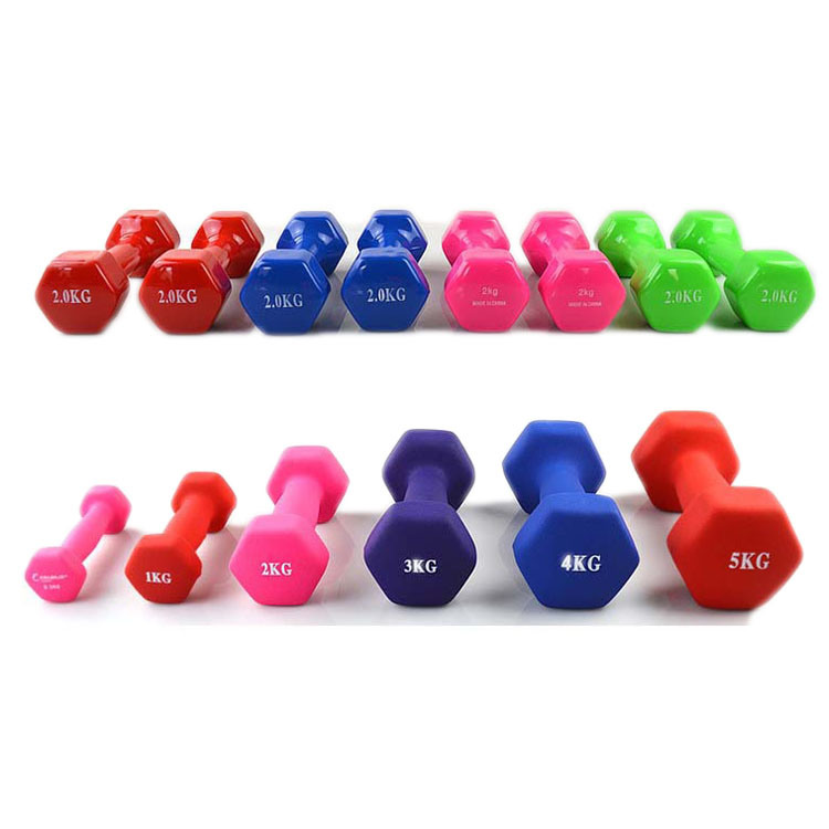 Adjustable 20kg Barbell Lifting Barbell and Dumbbell Set