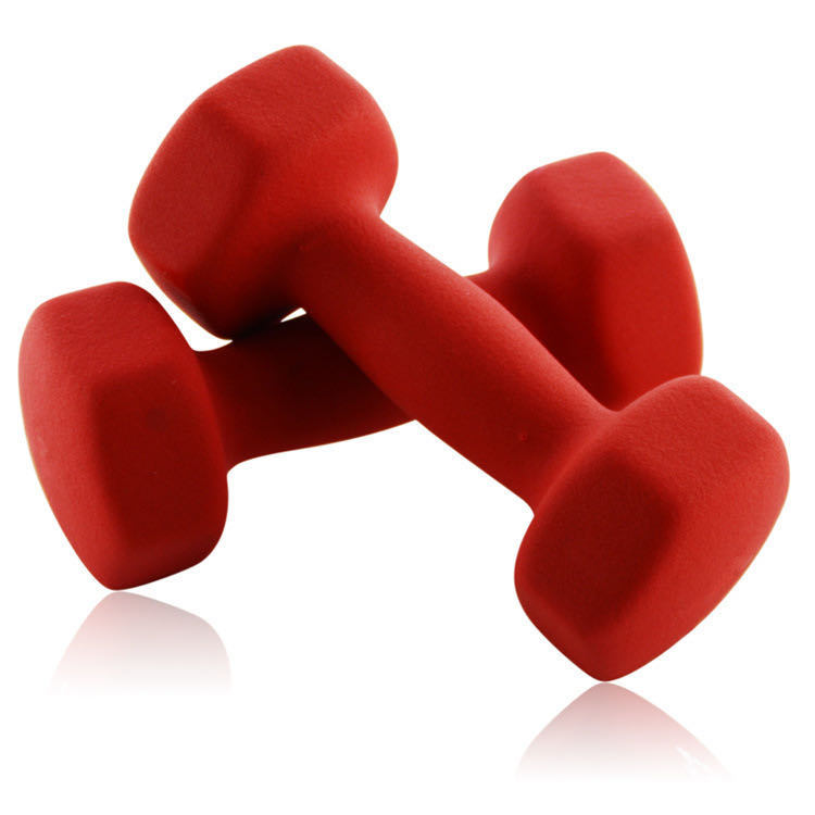 Adjustable 20kg Barbell Lifting Barbell and Dumbbell Set