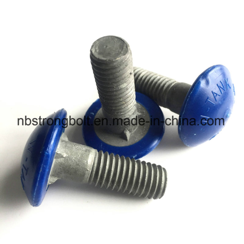 Plastic Coated Screw Carriage Bolt with Zinc Plated