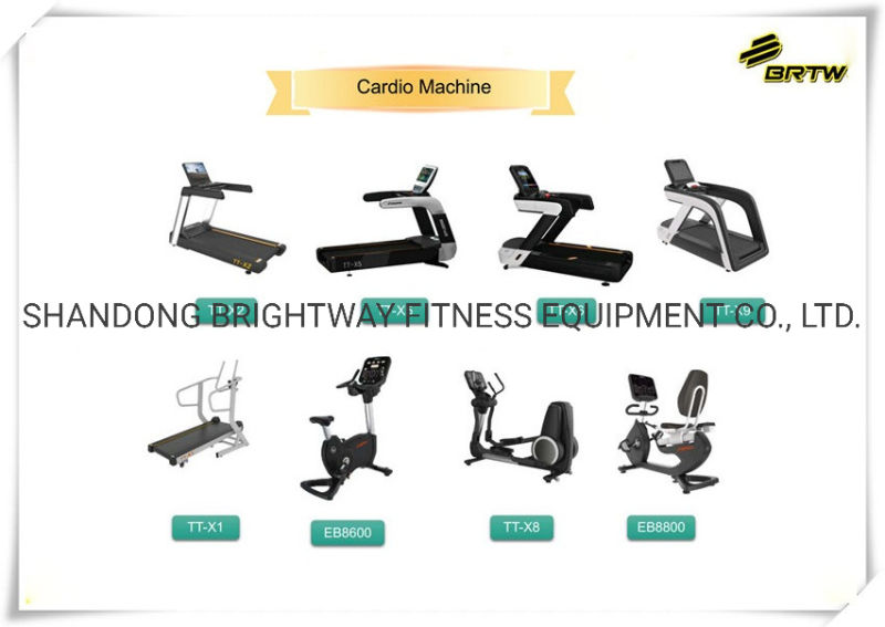 Flat-Oval Tube Flat Olympic Bench for Commercial Gym Center Use