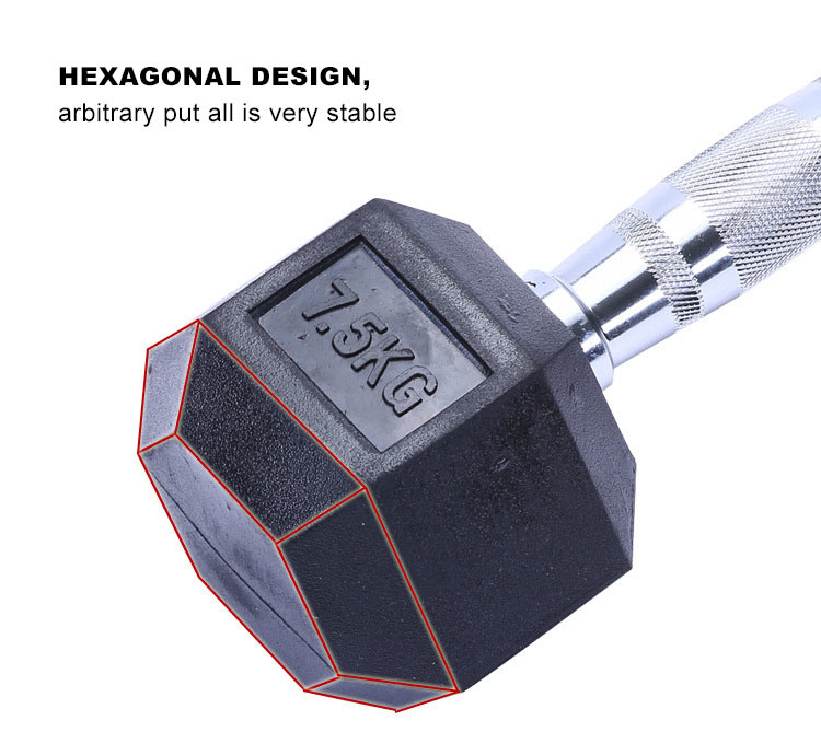 Home Gym Sports Equipment Fixed Weights 10lb 4.5kg Rubber Coated Hex Dumbbells in Lbs