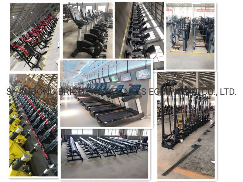 Flat-Oval Tube Flat Olympic Bench for Commercial Gym Center Use