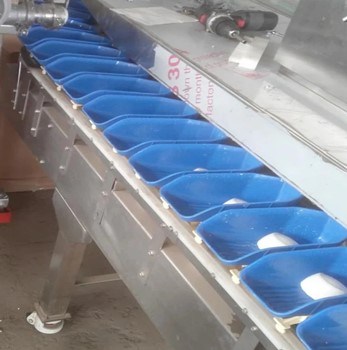 Weight Sorter Machine Seafood Weight Grader Machine