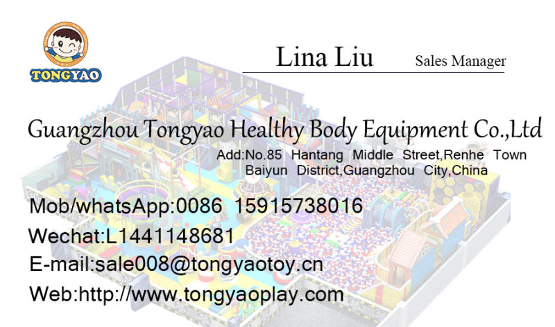 Tongyao Cheap Good Indoor Playground (TY-170309-1)