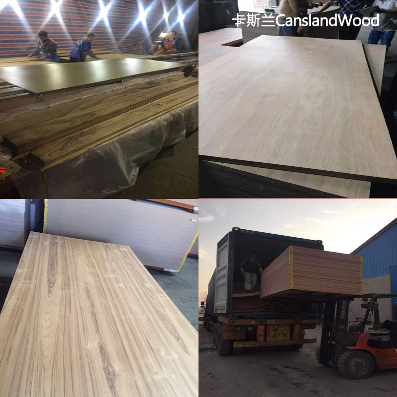 Film Faced Marine/ Commercial Plywood Commercial Plywood for Furniture