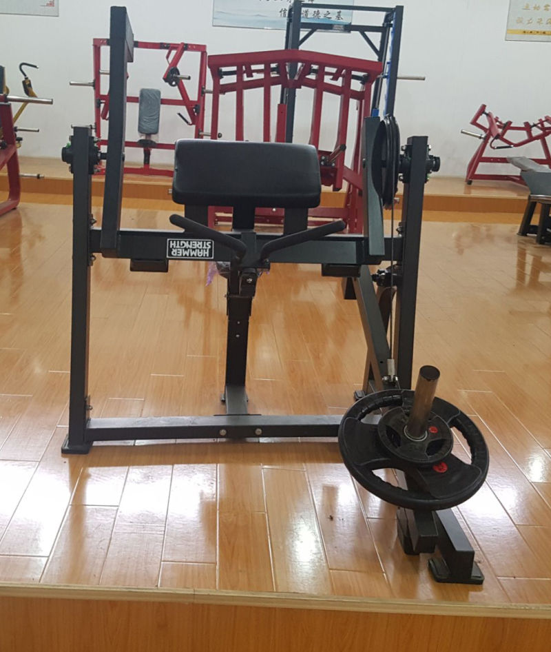 China Fitness Equipment Supplier Gym Exercise Machine Seated Biceps H5013
