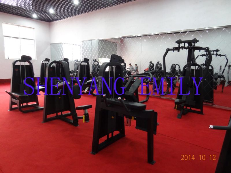 Professional Exercise Equipment / Dumbbell Rack (SD31)