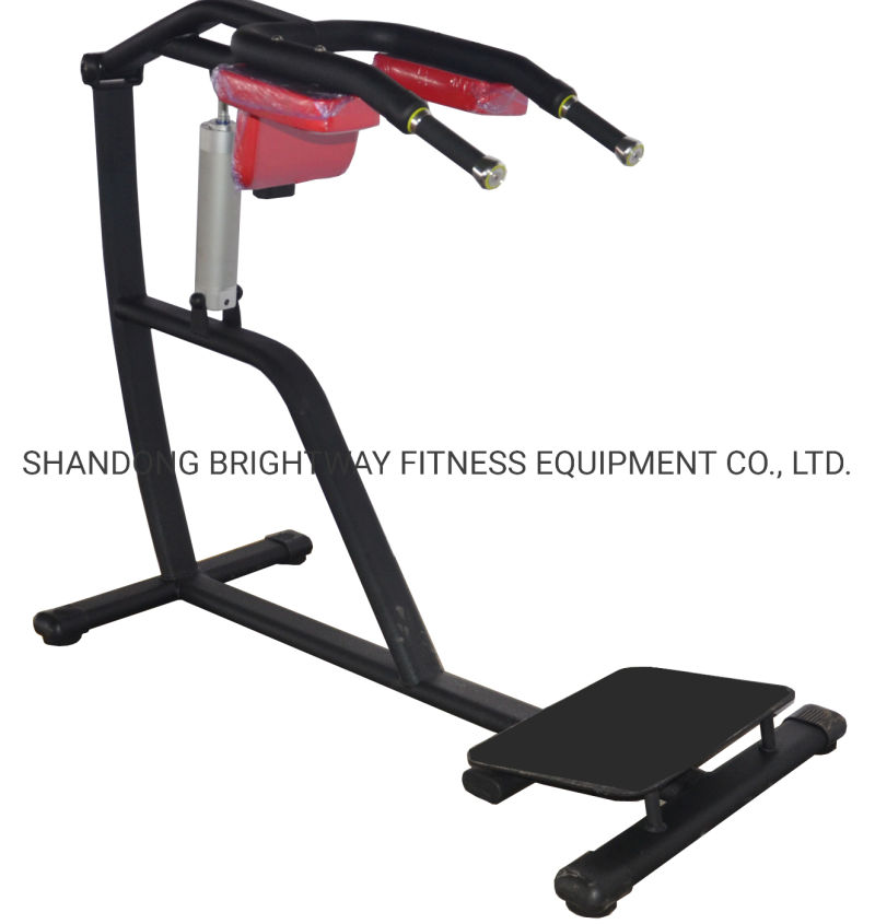 Good Quality Lady Use Squat Equipment for Gym Center