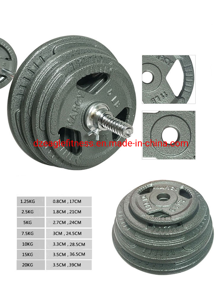 Cast Iron Weight Plate with Three Handle Grip