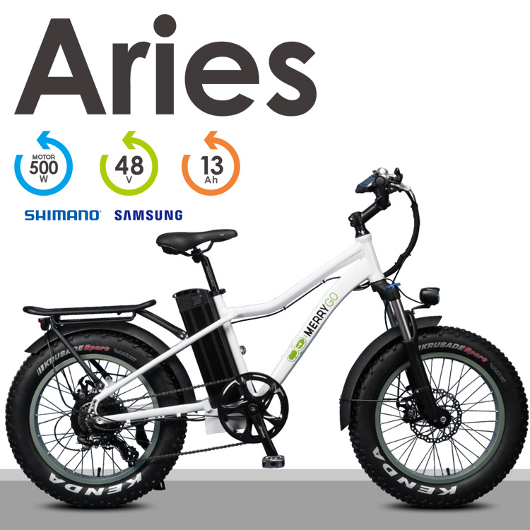 Brushless Motot 20 Inch Tire Foldable Ebike Lithium Power Scooter