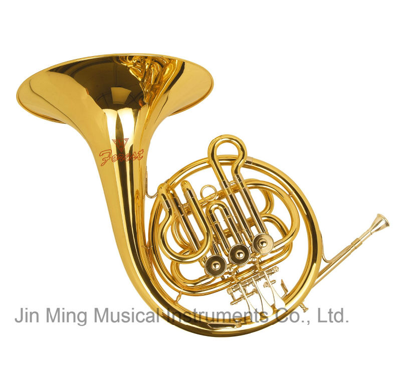 Good Beginner Student French Horn Cheap