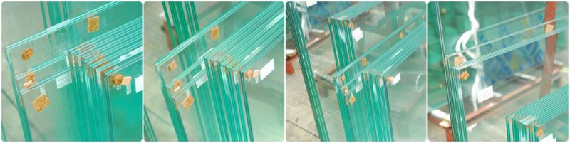 Clear/Colored/Flat/Curved/Designbuilding Glass/Safety Glass/Glass Fence/Shower Door Glass/Tempered Laminated Glass