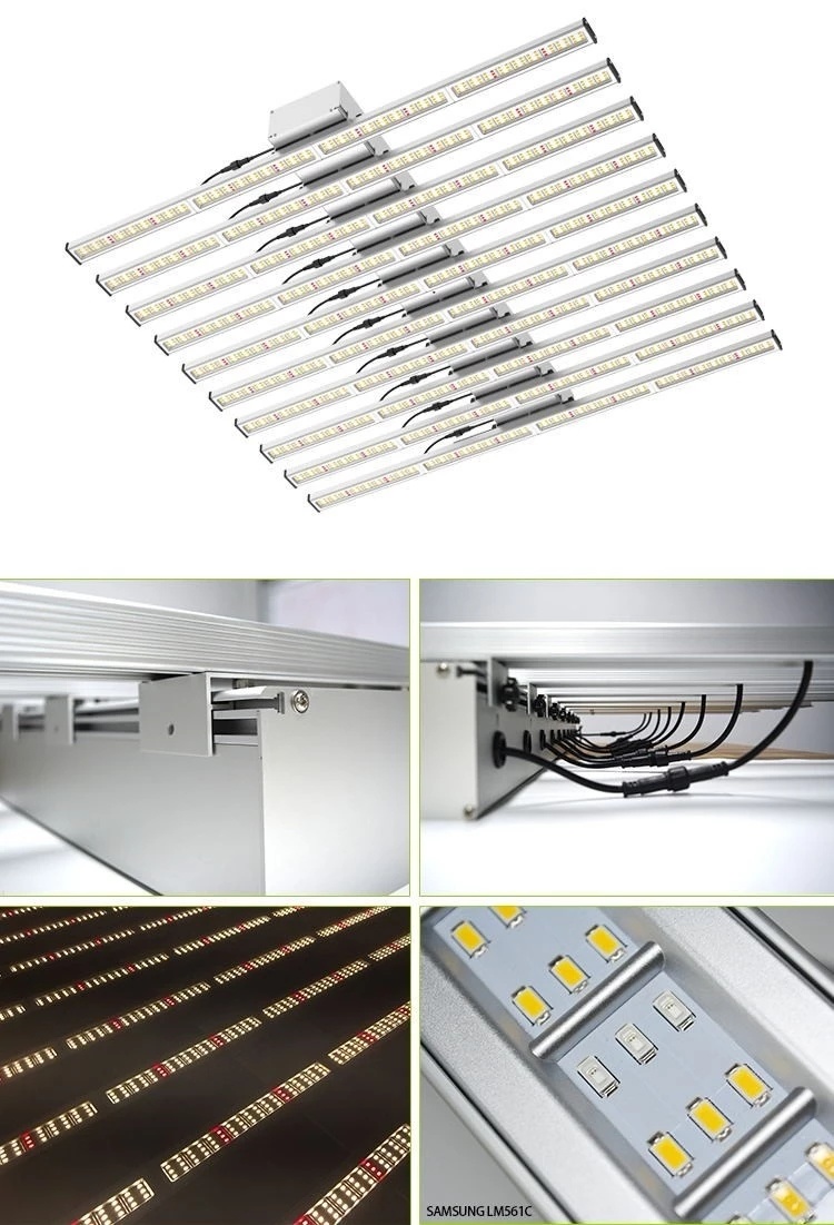 Commercial 600W Full Spectrum LED Grow Light Bar for Plan