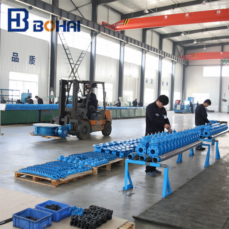 Ductile Iron Resilisent Seat Rising Stem Gate Valve