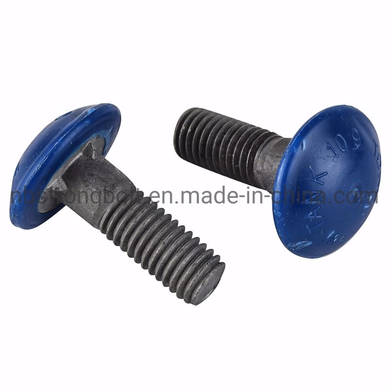 Plastic Coated Screw Carriage Bolt with Zinc Plated