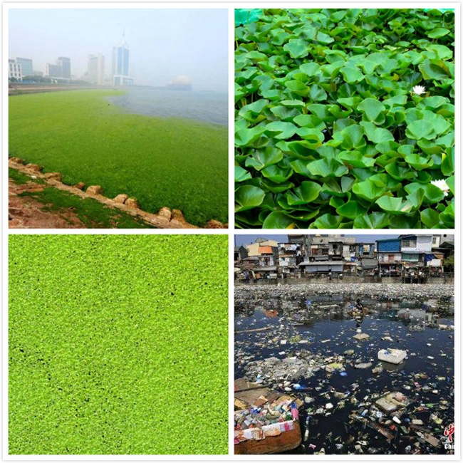 Water Hyacinth Harvesting Floating Trash Skimmer Garbage Salvage Boat