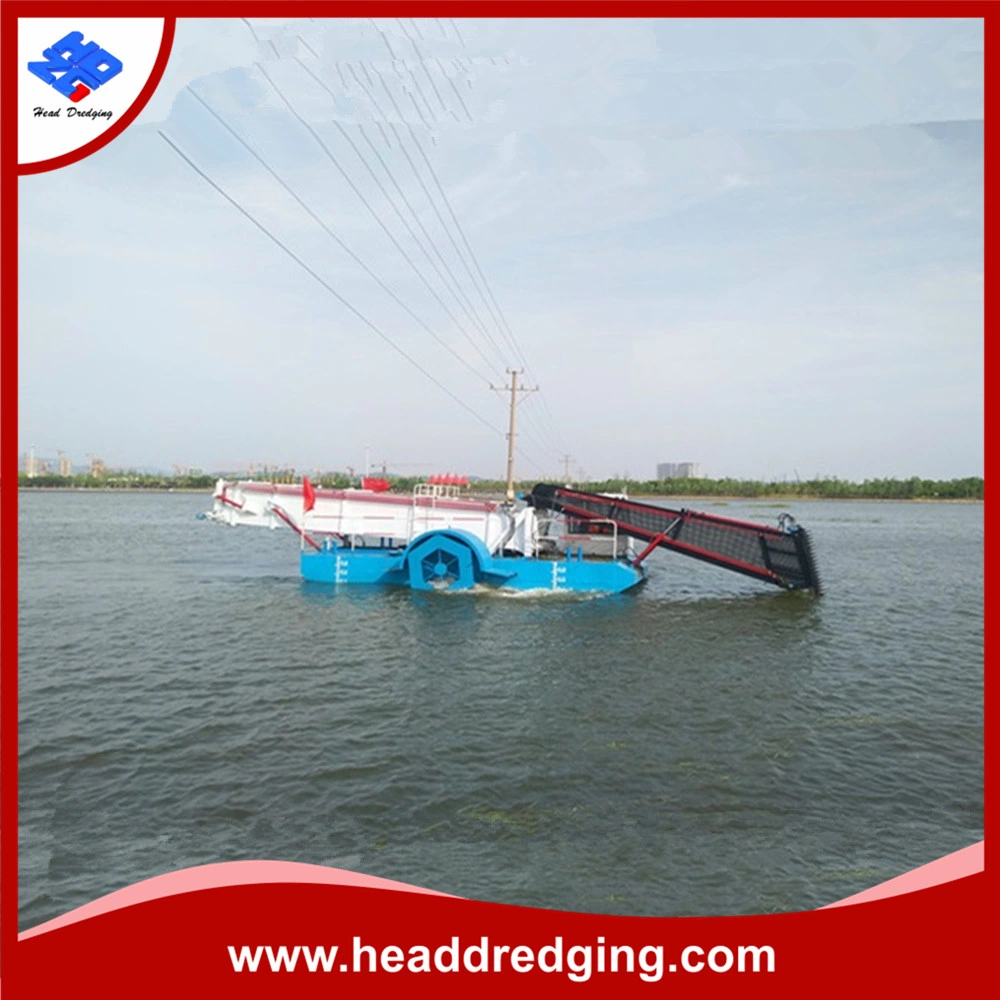 China Qingzhou Aquatic Weed Plant Harvester Garbage Clean Ship Water Hyacinth Harvest