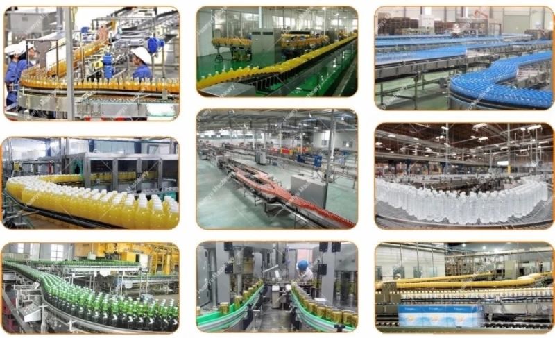 200ml-2L Pure Water Production Line Automatic Prices of Drinking Water Purifying Machines