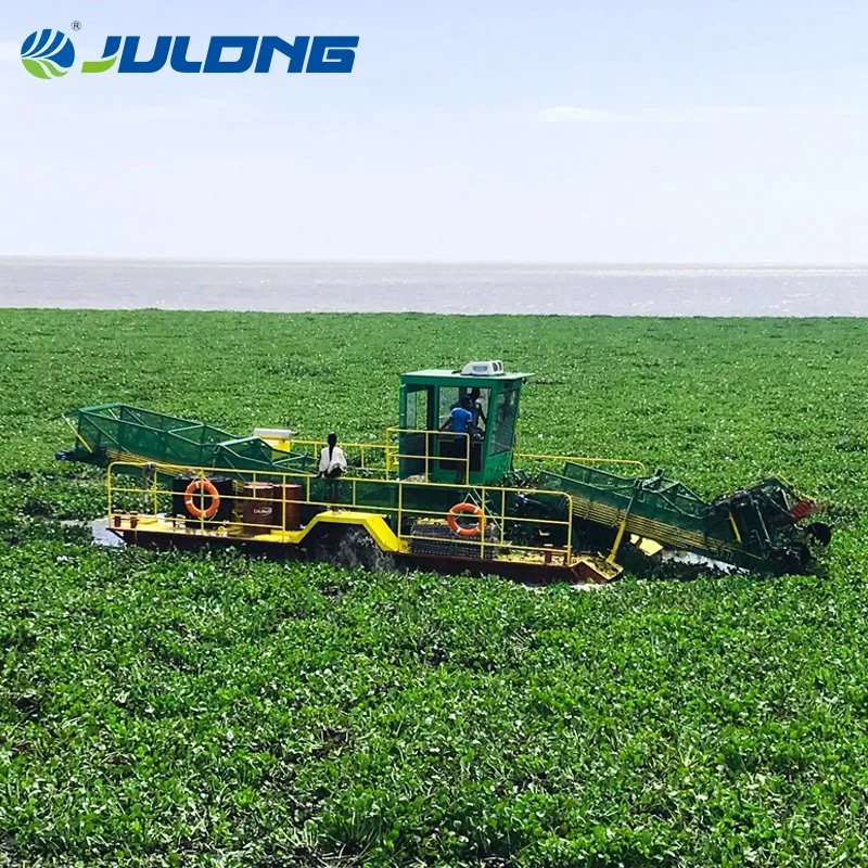 Garbage Salvage Weeds Collecting Harvest Water Hyacinth Harvesting Boat