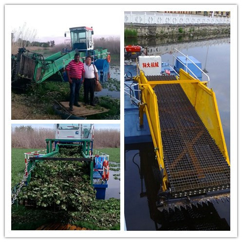 Water Weeding Ship Harvester Garbage Collector Cleaning Ship