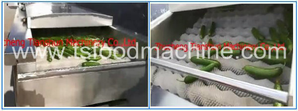 Automatic Washer Vegetable Cleaning Machine Fruit Washing Machine