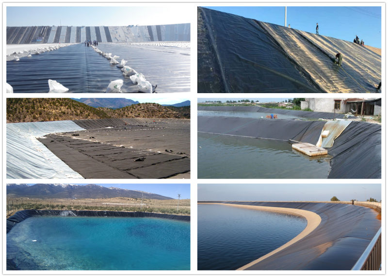 HDPE Geomembrane Manufacture Plastic for Water Dams