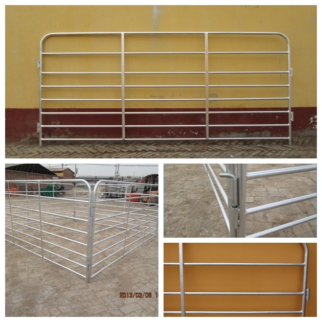 Sheep Rail Fencing Panel and Gate for Round Pen
