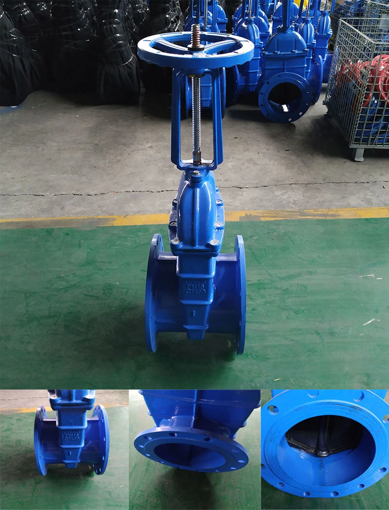 Light Weight EPDM Seal DIN Pn16 F5 Sluice Rubber Seat Gate Valve for Water